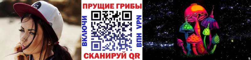 купить наркоту  Старая Купавна  Галлюциногенные грибы Psilocybe 